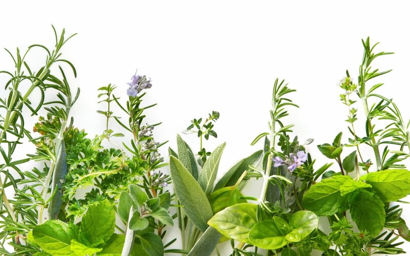 assorted fresh herbs
