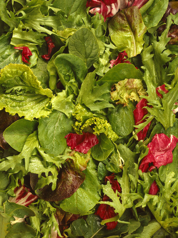 assorted fresh salad greens