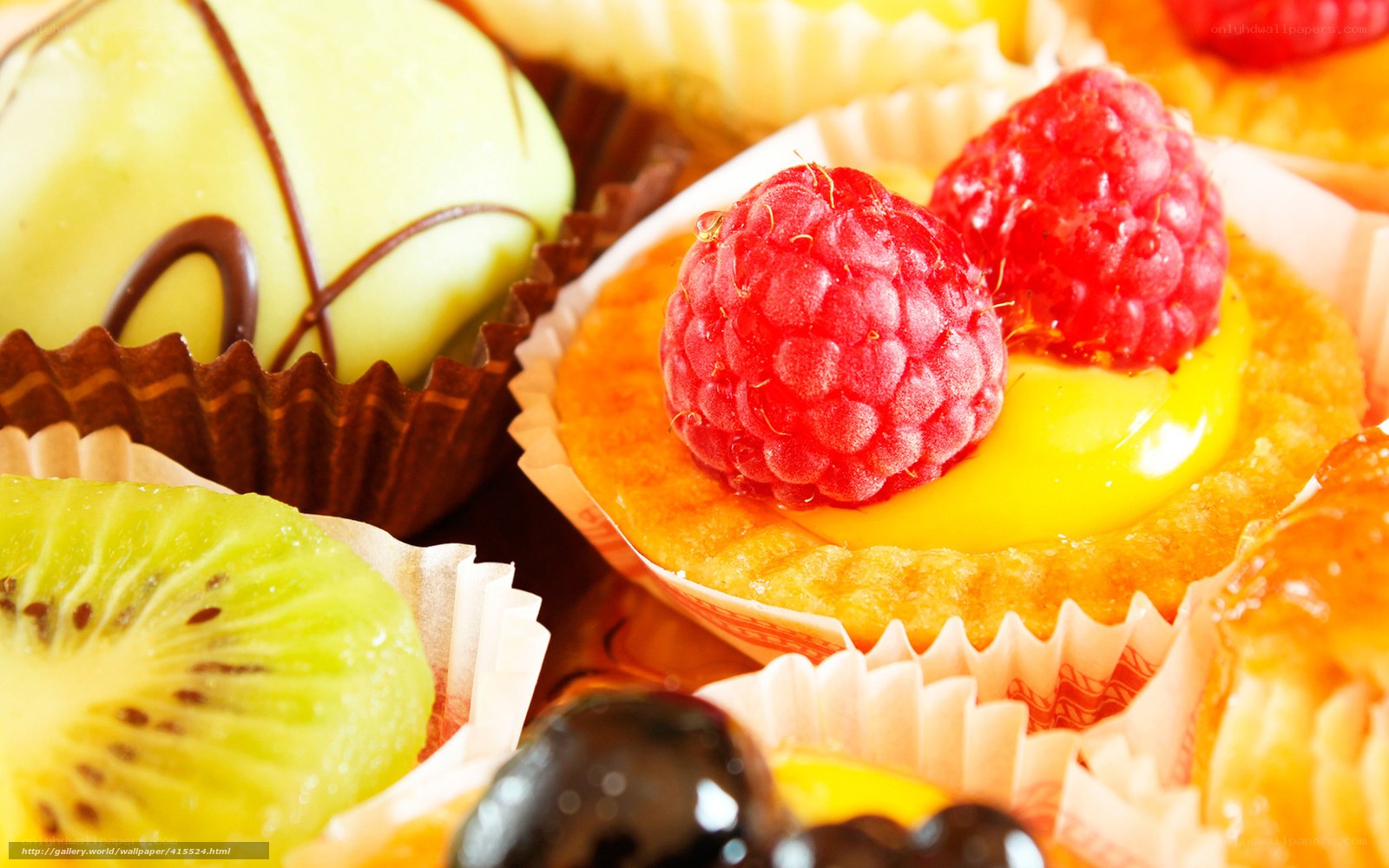 Assorted fruit pastries