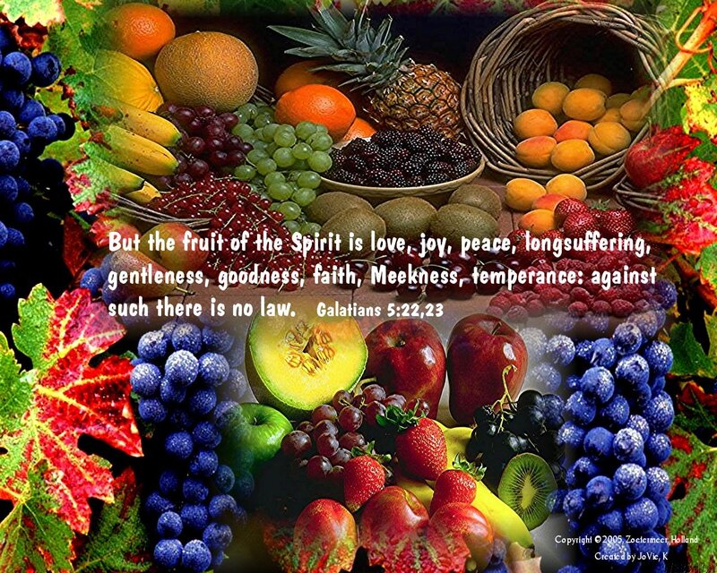 Assorted Fruits and Berries — Red