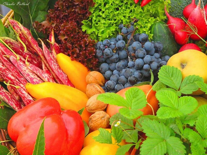 Assorted Fruits and Vegetables — Green, Fresh