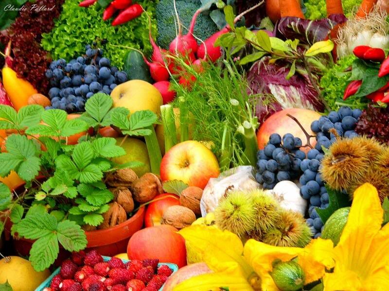 Assorted Fruits and Vegetables — Green, Vibrant