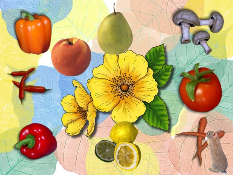 Assorted Fruits and Vegetables — Yellow