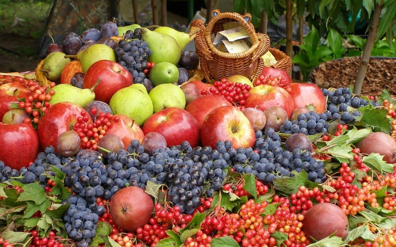Assorted Fruits in Basket — Red, Abundant