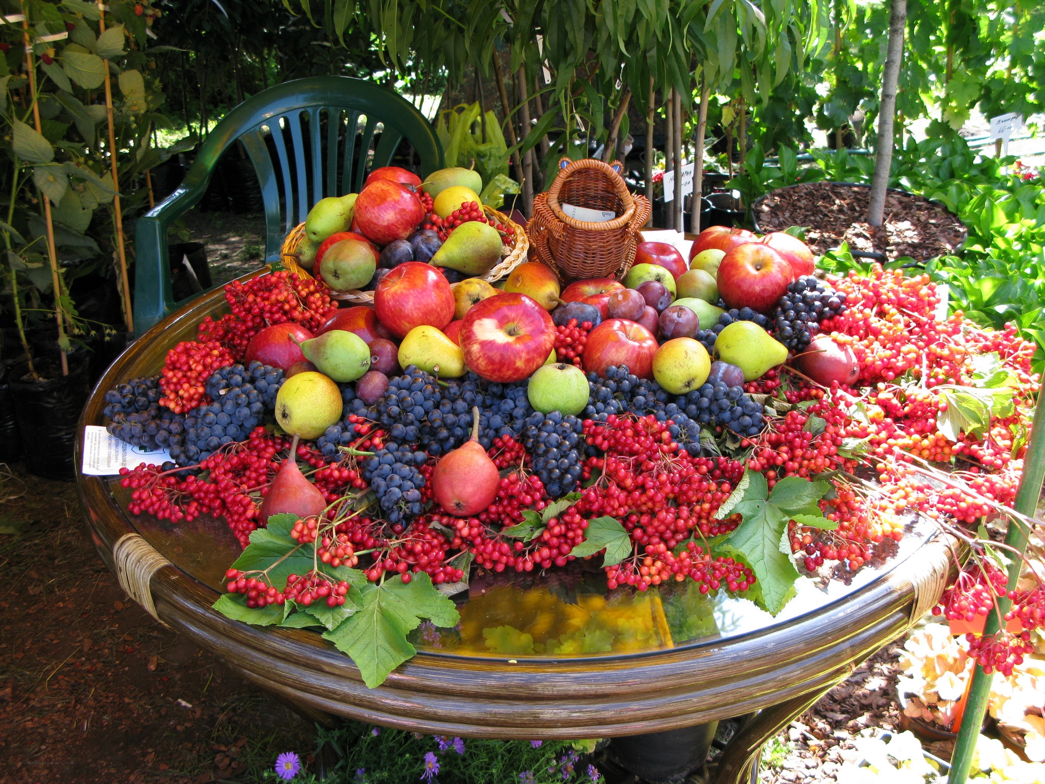 Assorted fruits on a table