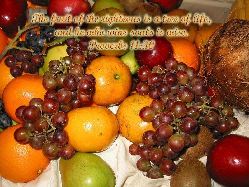 Assorted Fruits on Cloth