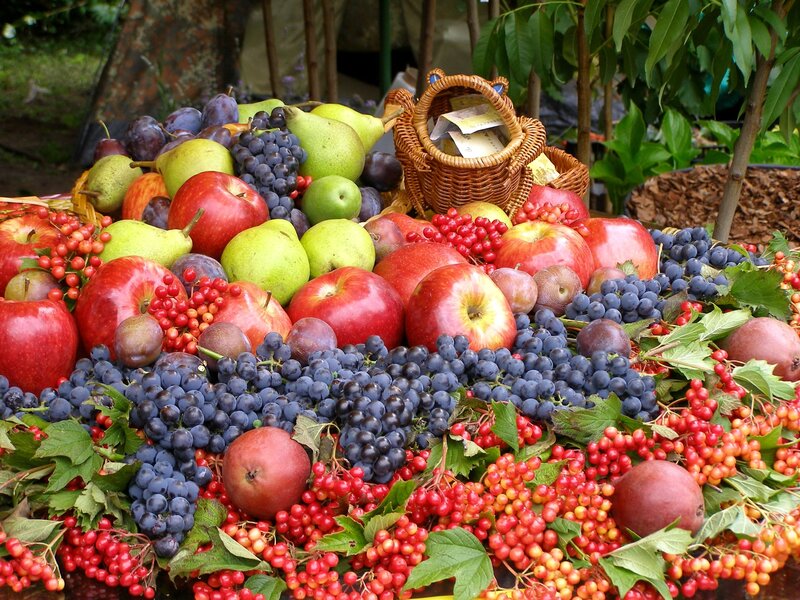 Assorted Fruits on Display — Red