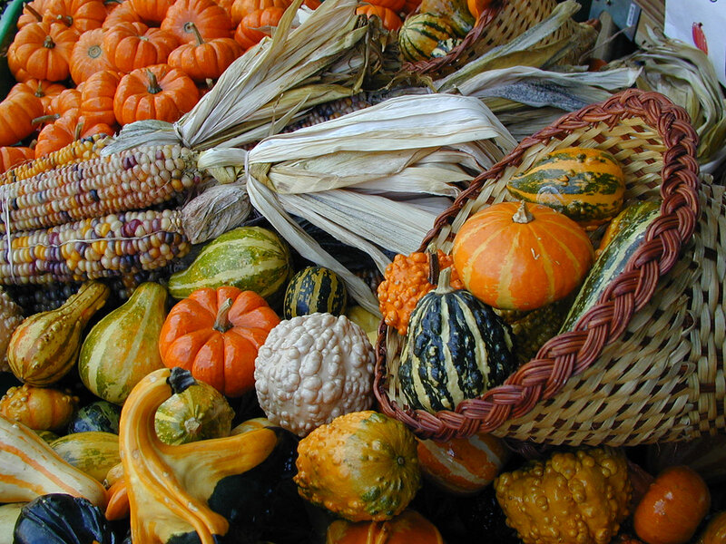 Assorted Gourds and Corn