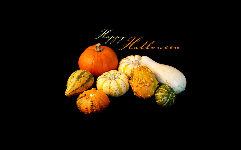 Assorted Gourds and Pumpkins