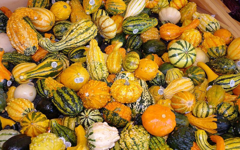 Assorted gourds at market