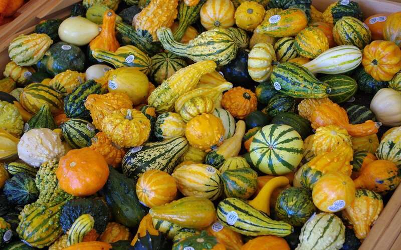 Assorted gourds in a market display