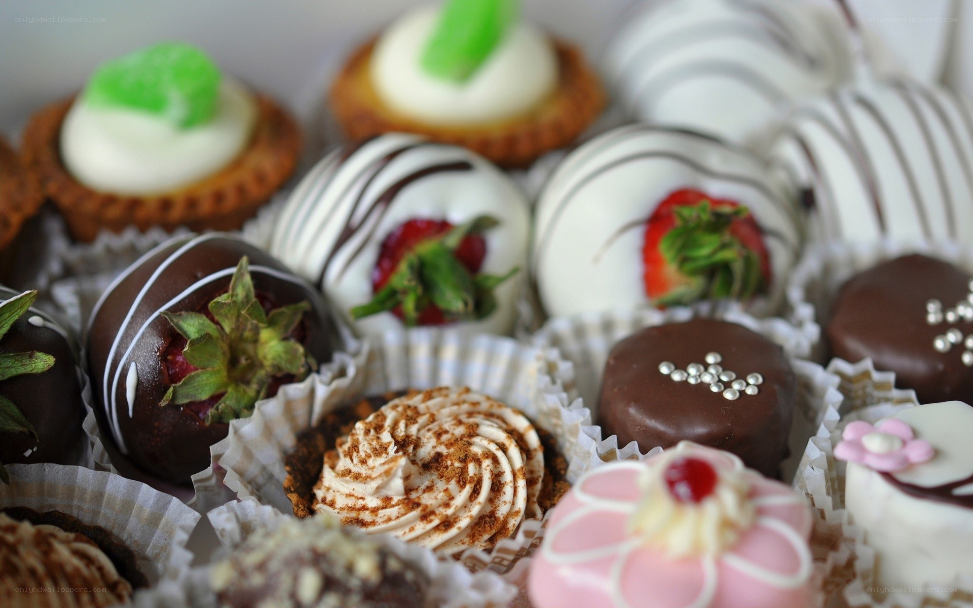 Assorted gourmet desserts