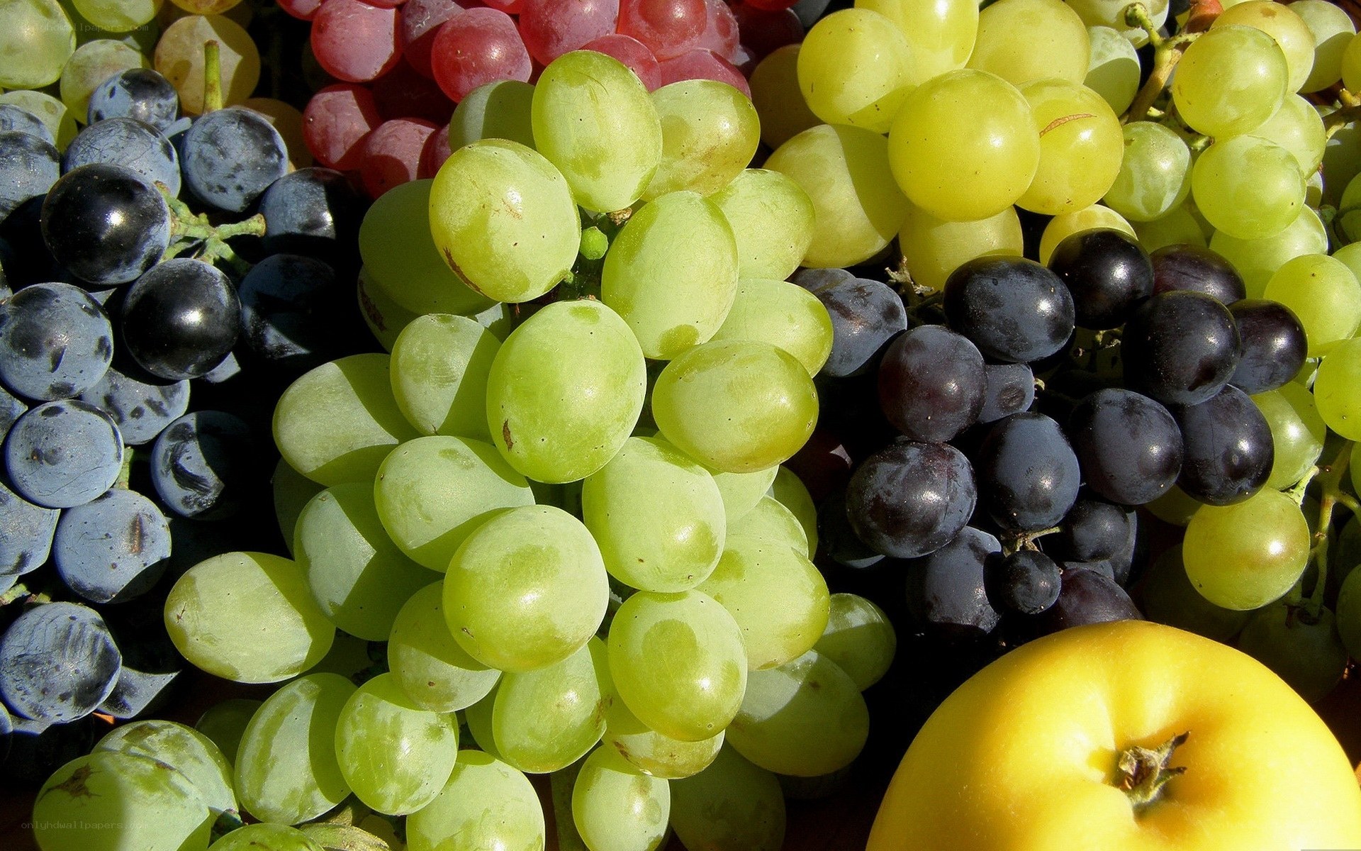 Assorted grapes and apple