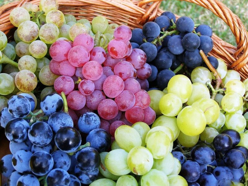 Assorted Grapes in Basket