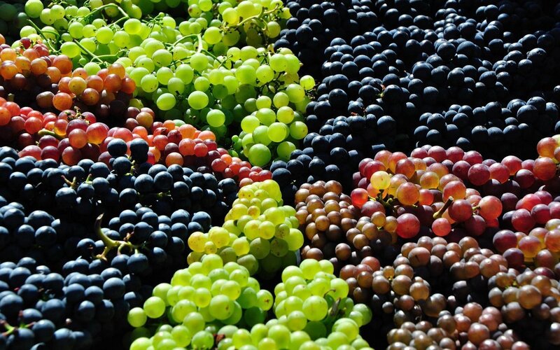 Assorted grapes in bunches