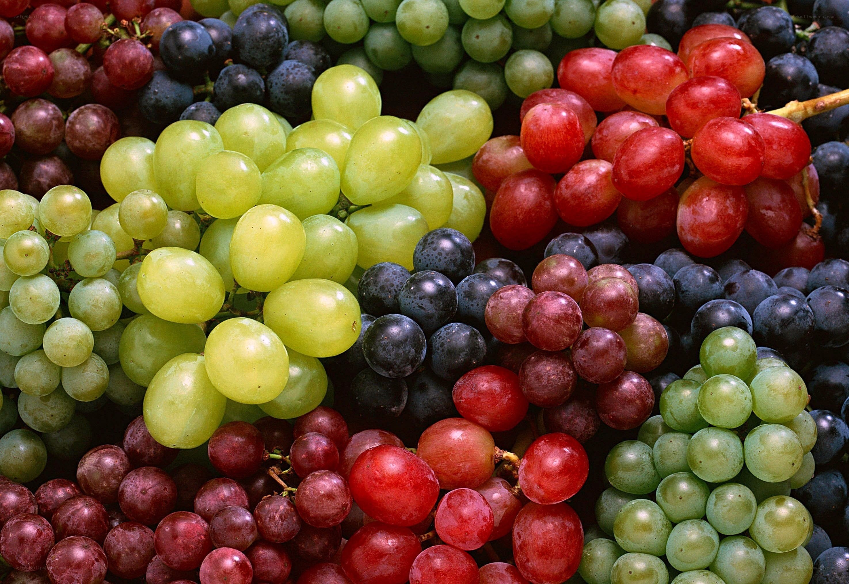 Assorted grapes in bunches