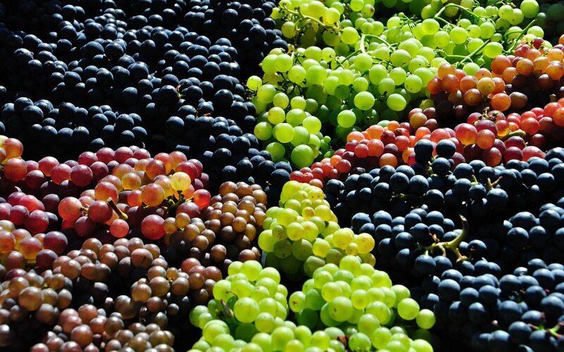 Assorted grapes in various colors
