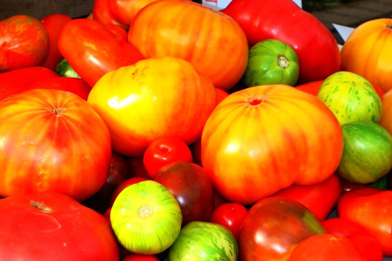 Assorted heirloom tomatoes