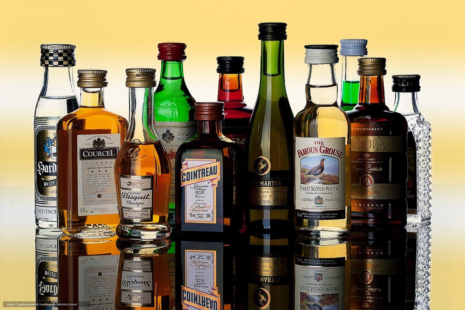 Assorted liquor bottles