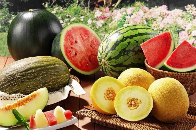 Assorted Melons and Watermelons