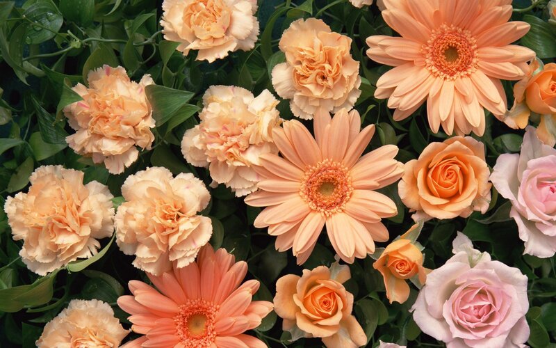Assorted peach and pink flowers