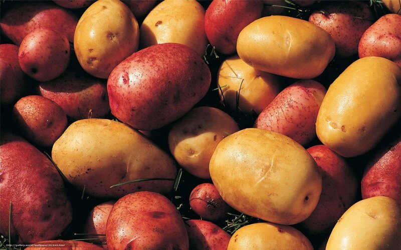 assorted potatoes in a pile