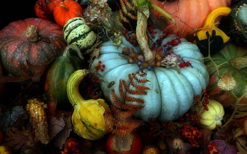 Assorted Pumpkins and Gourds — Orange, Autumnal, Autumn, Photograph, Berries