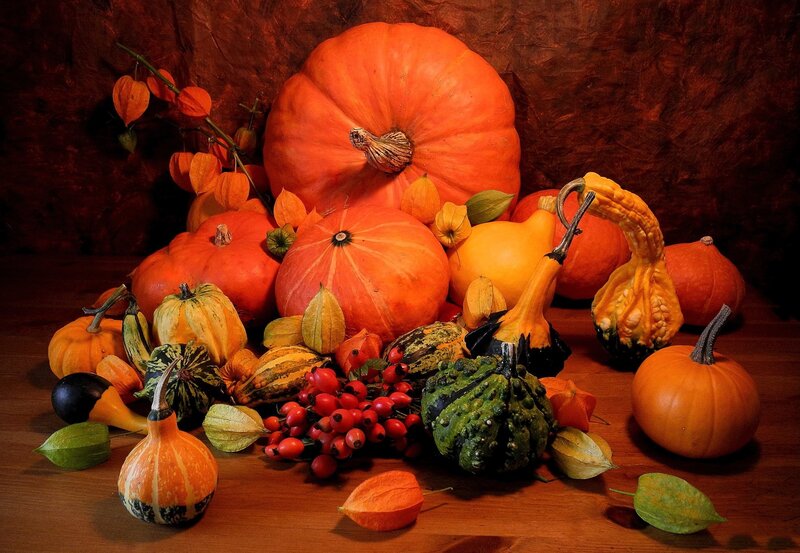 Assorted Pumpkins and Gourds — Orange, Dramatic