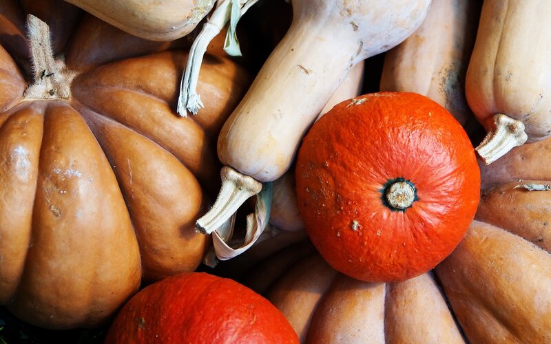 Assorted Pumpkins and Squash
