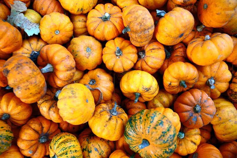 Assorted pumpkins at market