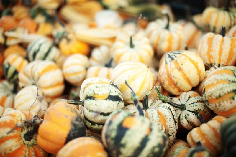 Assorted pumpkins at market