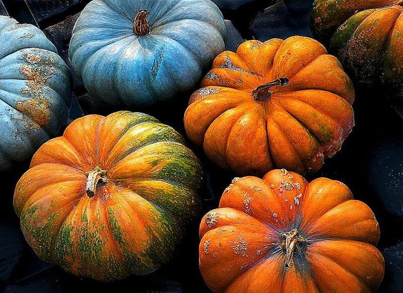 Assorted pumpkins at market