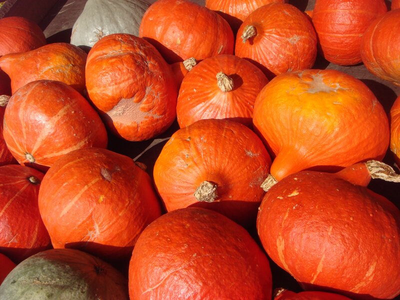 Assorted pumpkins at market
