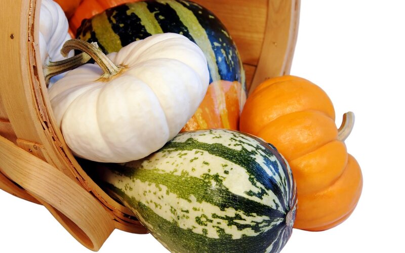 Assorted pumpkins in a basket