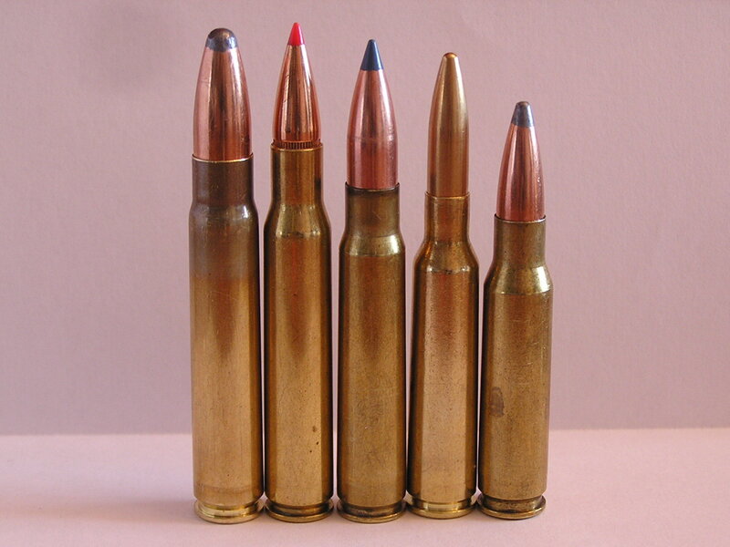 assorted rifle cartridges