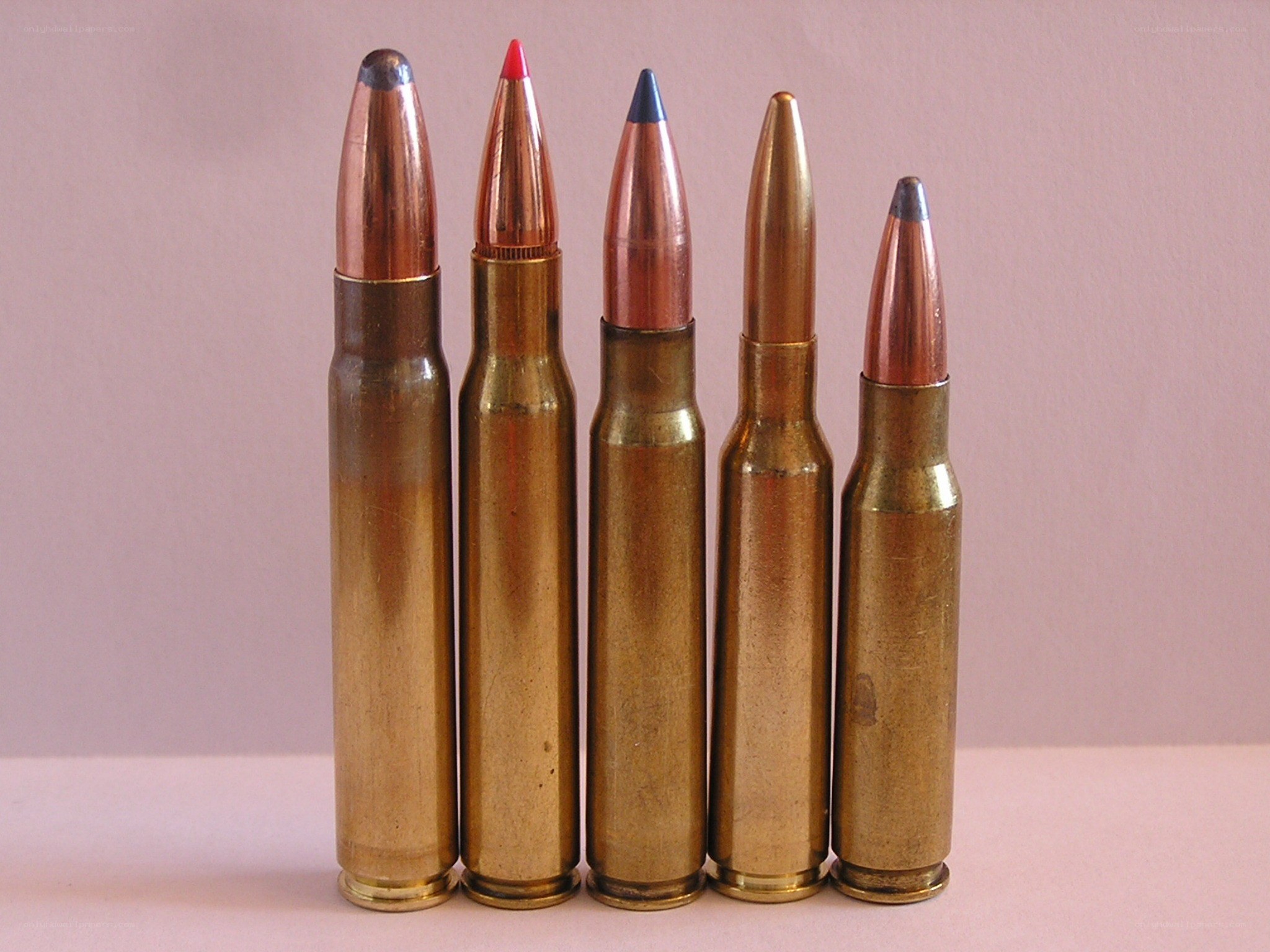 assorted rifle cartridges