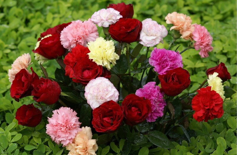 Assorted roses and carnations