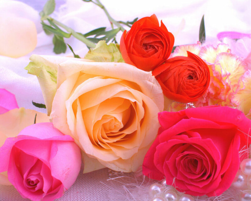 Assorted Roses and Flowers — Pink