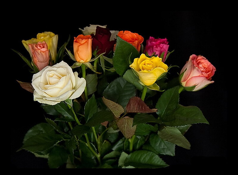 Assorted roses bouquet