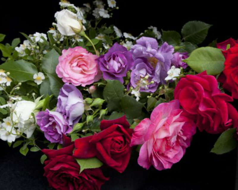 Assorted Roses Bouquet — Pink, Calm