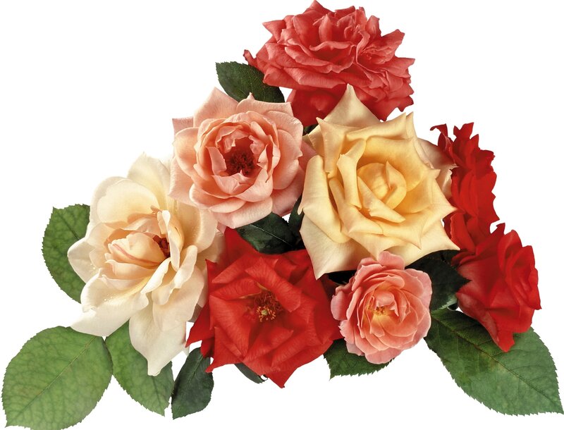 assorted roses bouquet