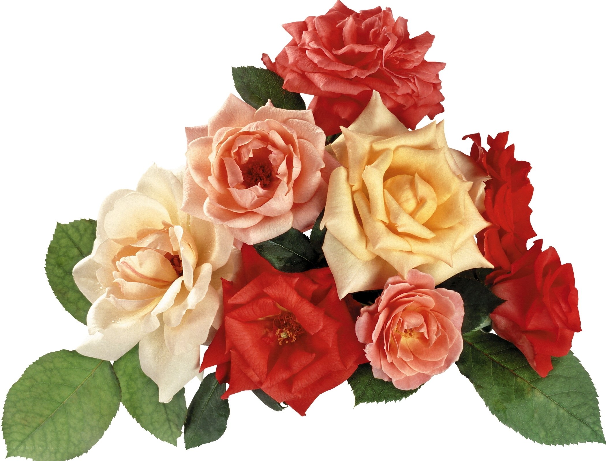 assorted roses bouquet