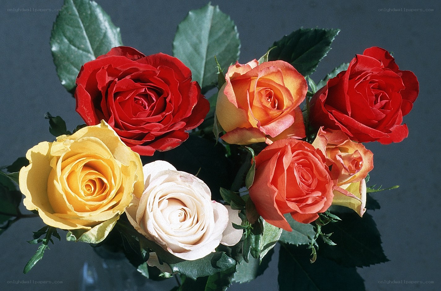 Assorted roses in a bouquet