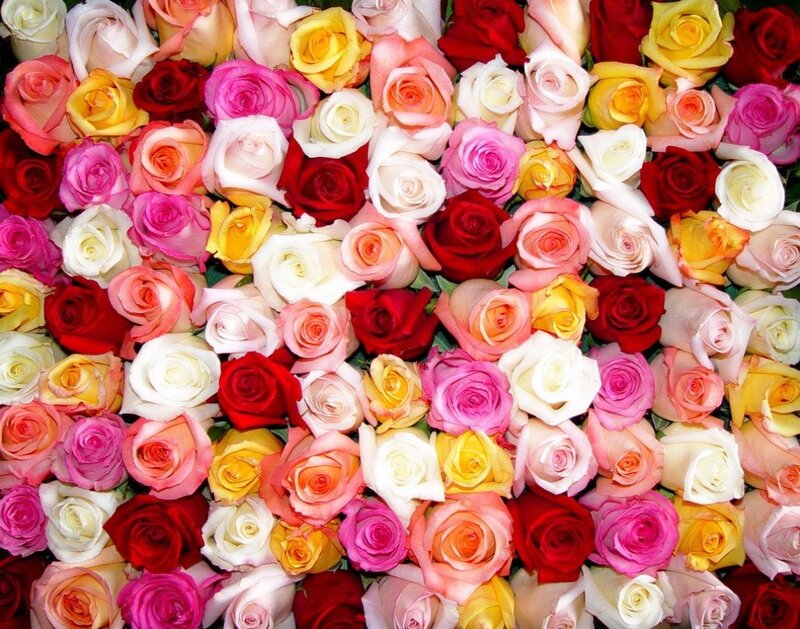 Assorted Roses in a Bouquet — Red, Colorful