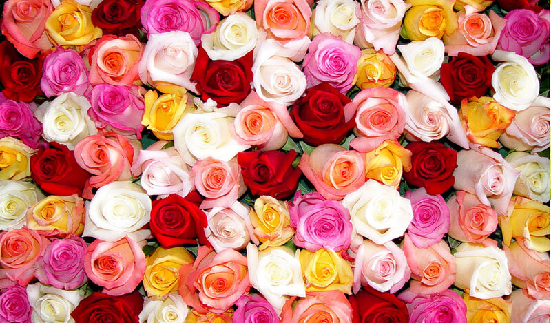 Assorted Roses in a Bouquet — Red