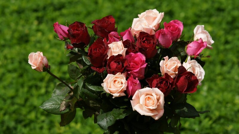 Assorted roses in a bouquet