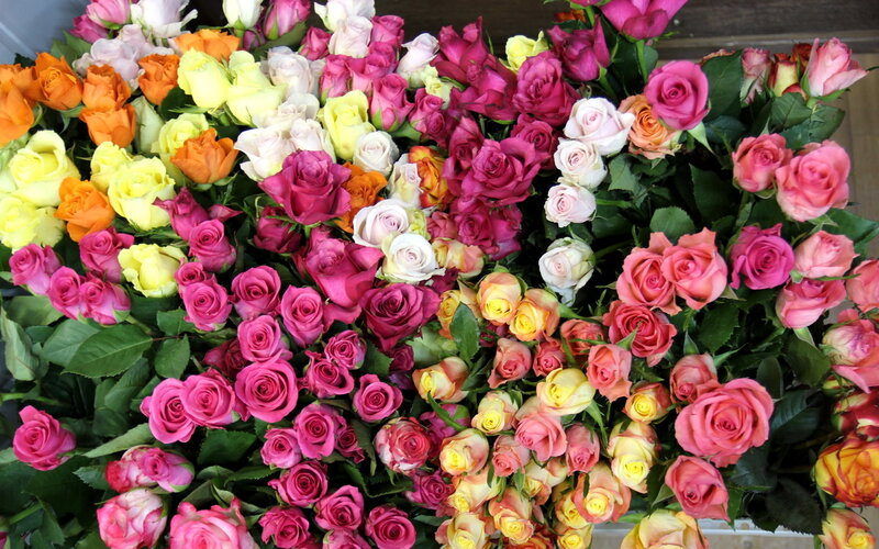 Assorted Roses in Bouquet — Pink, Colorful