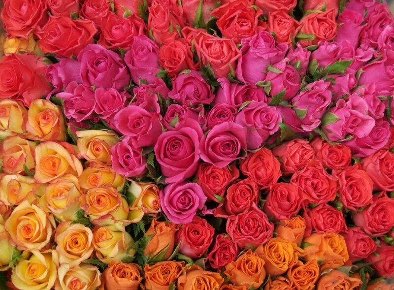 Assorted Roses in Bouquet — Pink