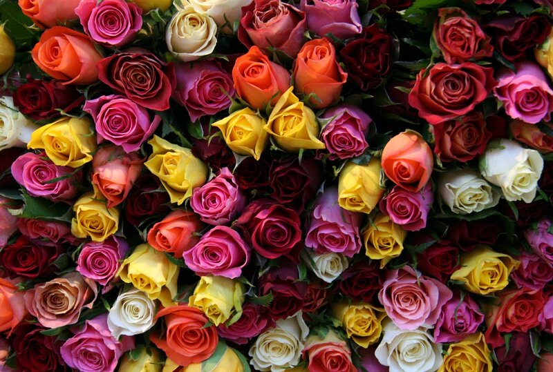 Assorted Roses in Bouquet — Pink, Vibrant