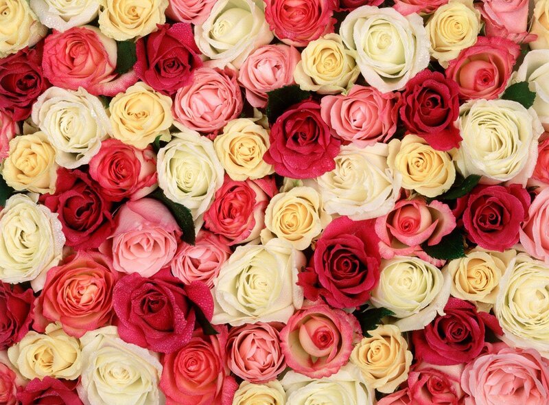 Assorted Roses in Bouquet — Red, Calm
